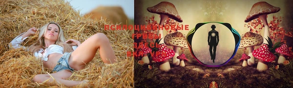спиды Абинск