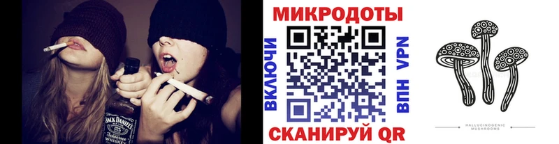 Псилоцибиновые грибы Magic Shrooms  купить наркотик  mega tor  Шали 
